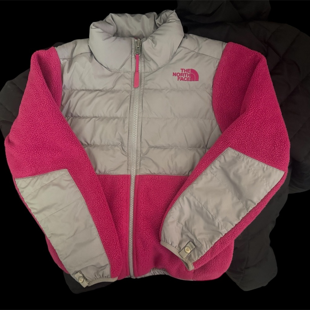 The Northface Retro Denali Fleece Jacket